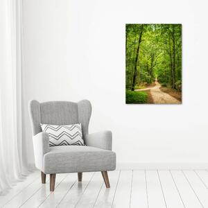 Tablou canvas Calea în pădure