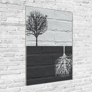 Fotografie imprimată pe sticlă Copacii de pe perete