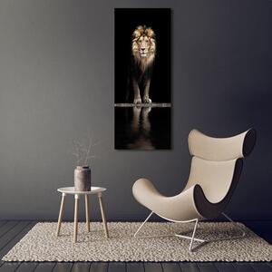 Tablou pe sticlă acrilică Portret de un leu