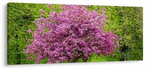 Tablou cu pom înflorit pe luncă (120x50 cm)