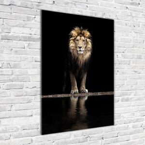 Tablou pe sticlă acrilică Portret de un leu