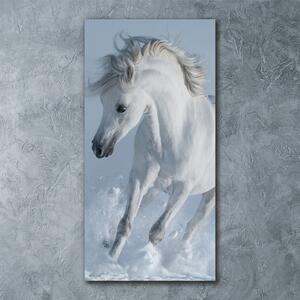 Tablou pe sticlă acrilică cal alb în galop