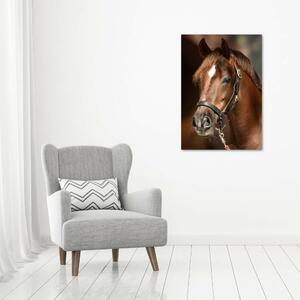 Tablou Printat Pe Sticlă Portret de un cal