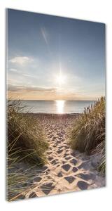 Imagine de sticlă dune de coastă