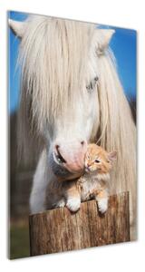 Tablou pe acril cal alb cu o pisică