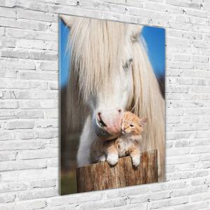Fotografie imprimată pe sticlă cal alb cu o pisică