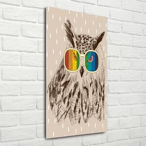 Tablou din Sticlă Owls ochelari