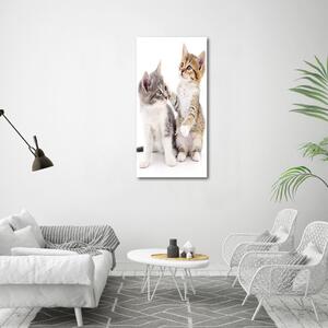 Tablou canvas Două pisici de talie mică