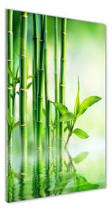 Fotografie imprimată pe sticlă Bamboo în apă