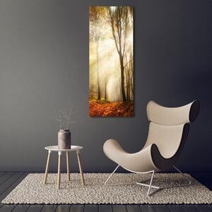 Fotografie imprimată pe sticlă pădure în toamna