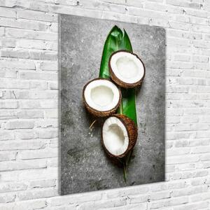 Tablou pe pe sticlă Pe frunze de nucă de cocos