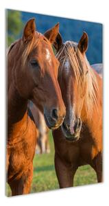 Imagine de sticlă doi cai