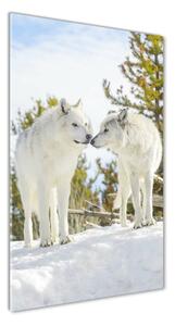 Imagine de sticlă Doi lupi albi
