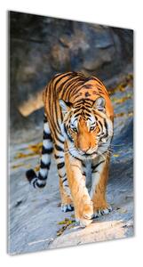 Pictura pe sticlă acrilică Tigru
