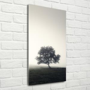 Imagine de sticlă Arborele în ceață