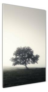 Imagine de sticlă Arborele în ceață