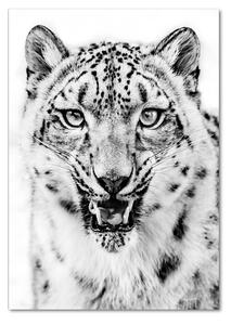 Tablou sticlă leopard de zăpadă