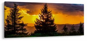 Tablou - coniferi (120x50 cm)