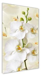 Tablou pe sticlă acrilică alb orhidee