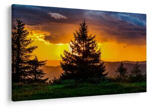 Tablou - coniferi (90x60 cm)