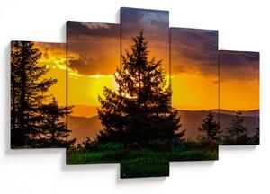 Tablou - coniferi (150x105 cm)