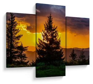 Tablou - coniferi (90x60 cm)