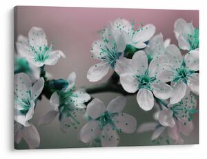 Tablou cu floare - turcoaz (70x50 cm)