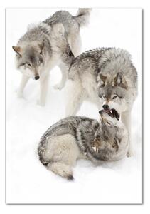 Imagine de sticlă lupi gri
