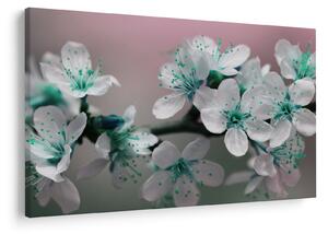 Tablou cu floare - turcoaz (90x60 cm)