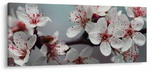 Tablou cu floare - roșie (120x50 cm)