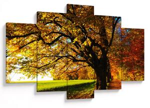 Tablou cu toamna (150x105 cm)