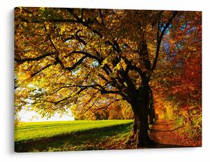 Tablou cu toamna (70x50 cm)