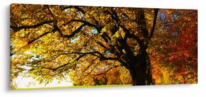 Tablou cu toamna (120x50 cm)