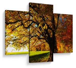 Tablou cu toamna (90x60 cm)