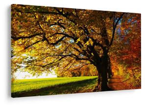 Tablou cu toamna (90x60 cm)