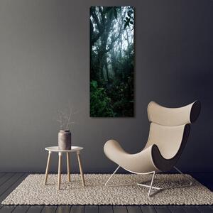 Fotografie imprimată pe sticlă pădurea tropicală