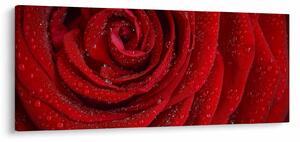 Tablou - detaliu de trandafir (120x50 cm)
