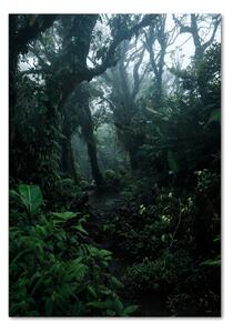 Fotografie imprimată pe sticlă pădurea tropicală