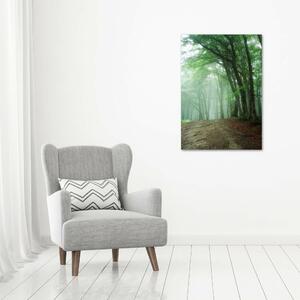 Imprimare tablou canvas Ceață în pădure