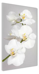Tablou acrilic alb orhidee