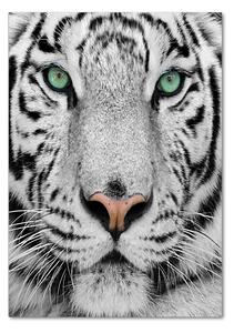 Tablou Printat Pe Sticlă tigru alb