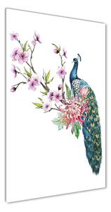 Tablou pe pe sticlă Peacock și flori