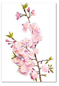 Fotografie imprimată pe sticlă flori de cireș