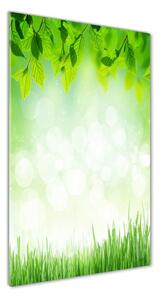 Tablou pe sticlă acrilică Frunze și iarbă