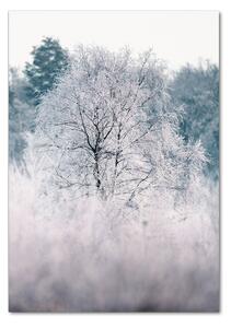 Fotografie imprimată pe sticlă pădure în timpul iernii