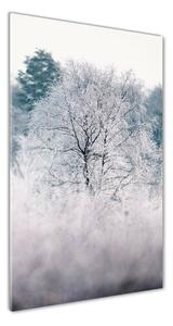 Tablou pe acril pădure în timpul iernii