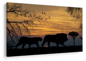 Tablou cu Safari (90x60 cm)