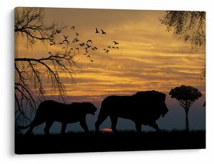 Tablou cu Safari (70x50 cm)