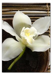 Tablou sticlă Orhidee
