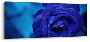 Tablou cu trandafir albastru (120x50 cm)